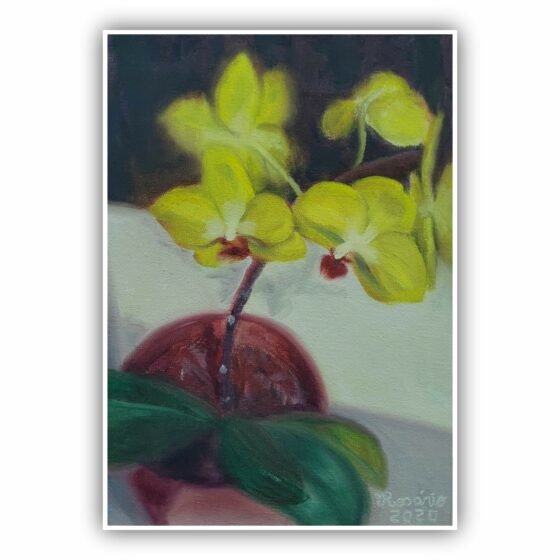 Orquídea amarela em um vaso vermelho