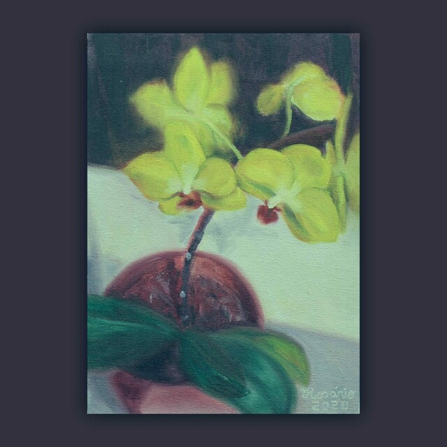 . Flores e ávores .