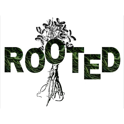 Rooted - Rosario Paintings