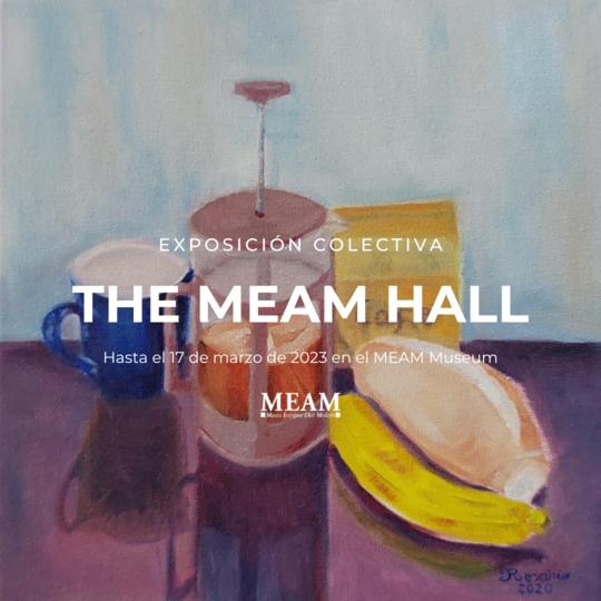 The MEAM Hall - Barcelona - Ricardo do Rosario Artes